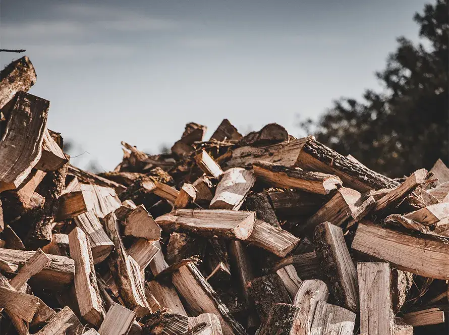 Pile de bois de chauffage mélange chêne et hêtre, prêt à être livré par GV Bois.